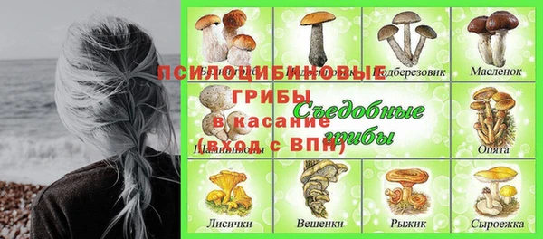 ECSTASY Алексин