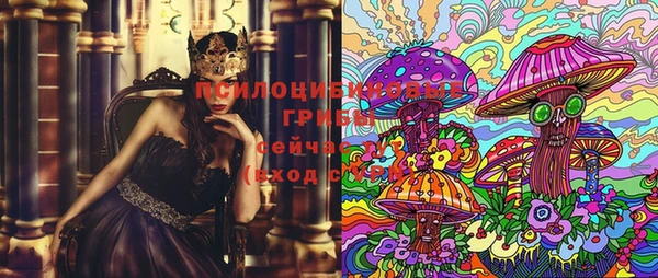 ECSTASY Алексин