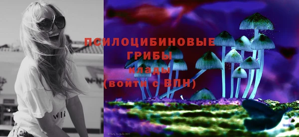 ECSTASY Алексин