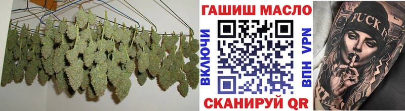 ТГК вейп  Аргун 