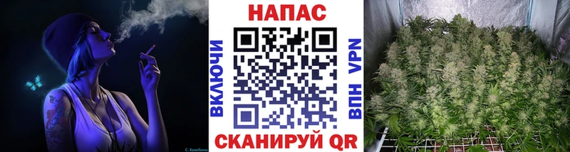 Бошки марихуана конопля  что такое наркотик  Аргун 